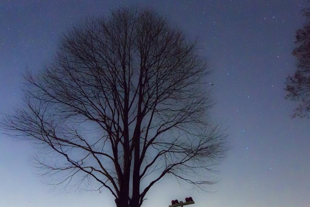 Minami Aso Luna Observatory Auberge Mori No Atelier Otel Minamiaso Dış mekan fotoğraf