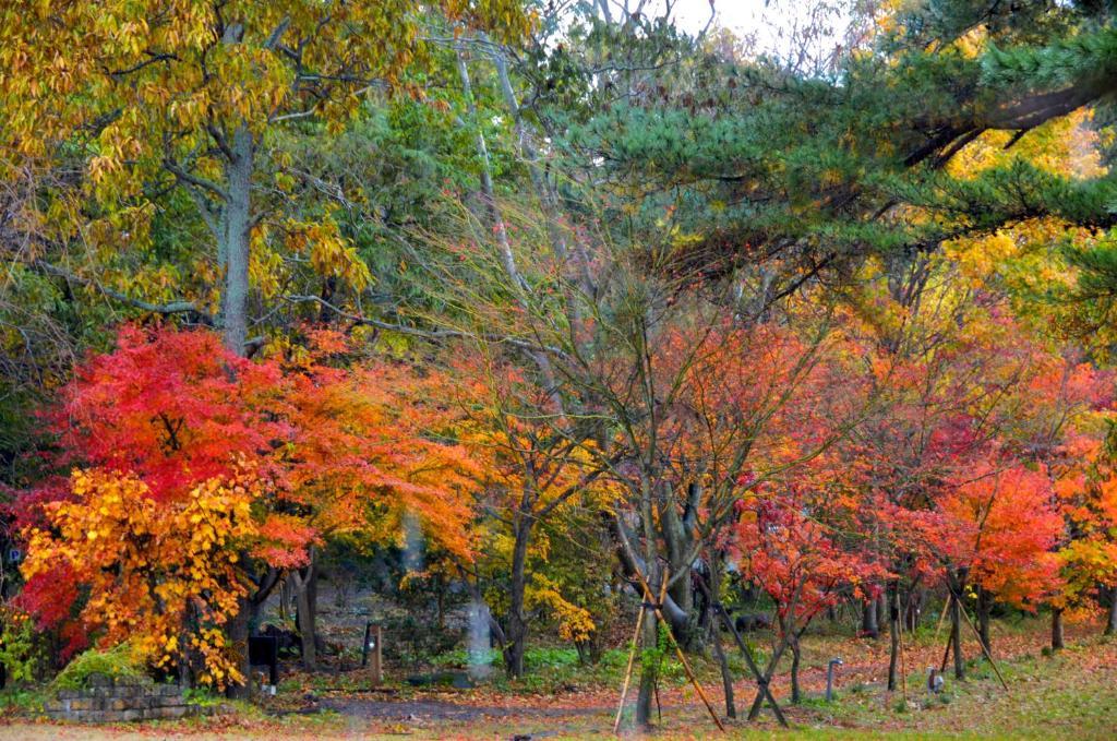 Minami Aso Luna Observatory Auberge Mori No Atelier Otel Minamiaso Dış mekan fotoğraf