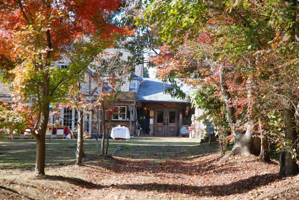 Minami Aso Luna Observatory Auberge Mori No Atelier Otel Minamiaso Dış mekan fotoğraf