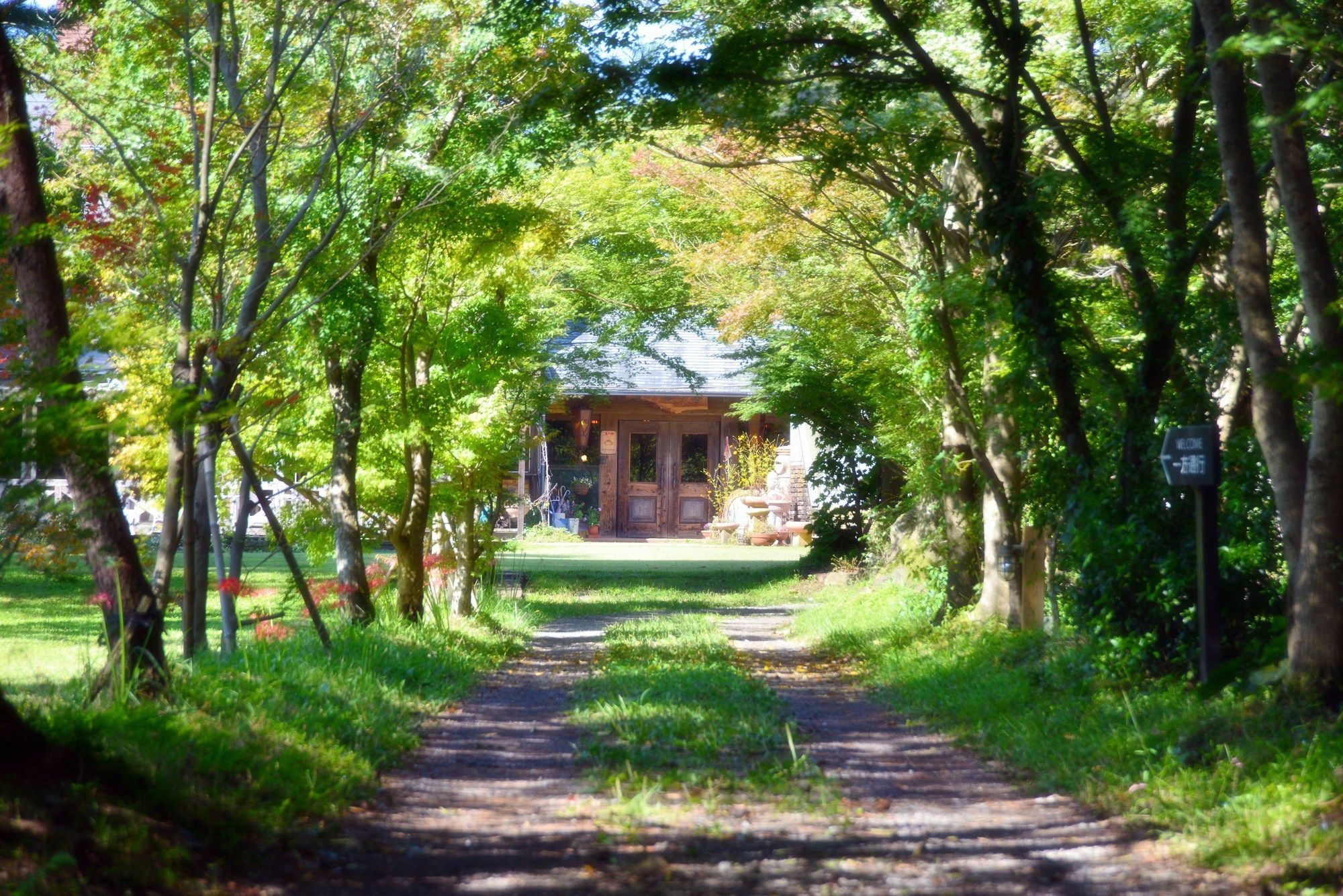 Minami Aso Luna Observatory Auberge Mori No Atelier Otel Minamiaso Dış mekan fotoğraf