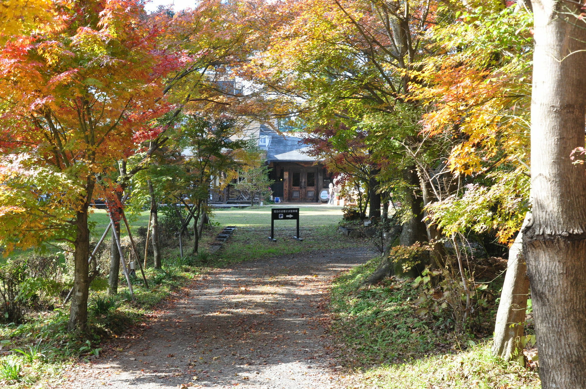 Minami Aso Luna Observatory Auberge Mori No Atelier Otel Minamiaso Dış mekan fotoğraf